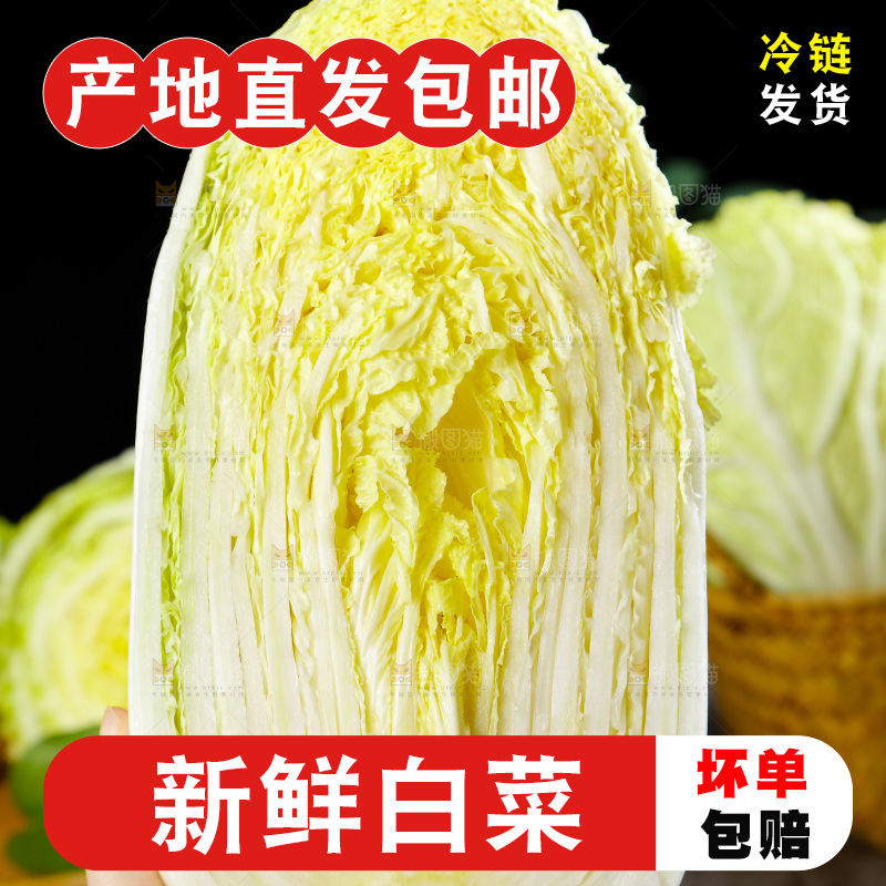 手拿切开的大白菜