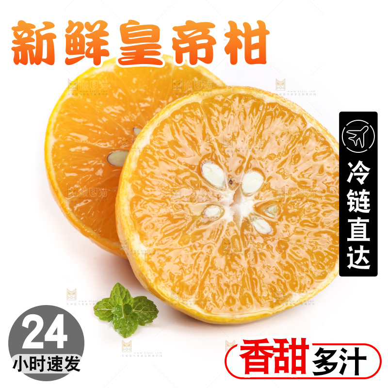 切开的皇帝贡柑放在白底上