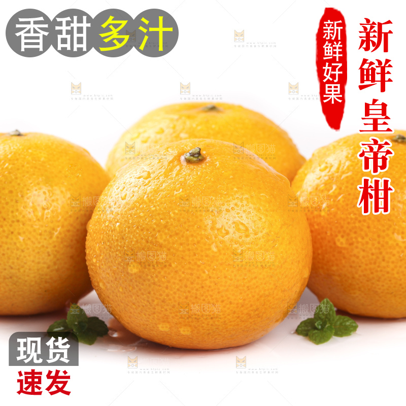 白底上的广西皇帝柑