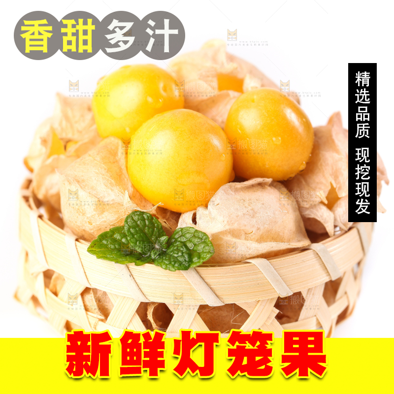 竹篮里放着菇娘果