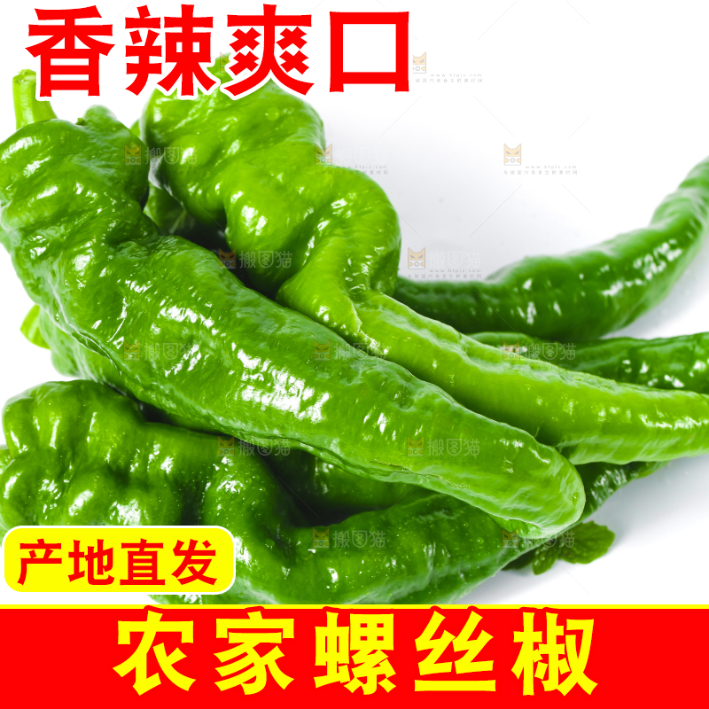 白底上的新鲜螺丝椒