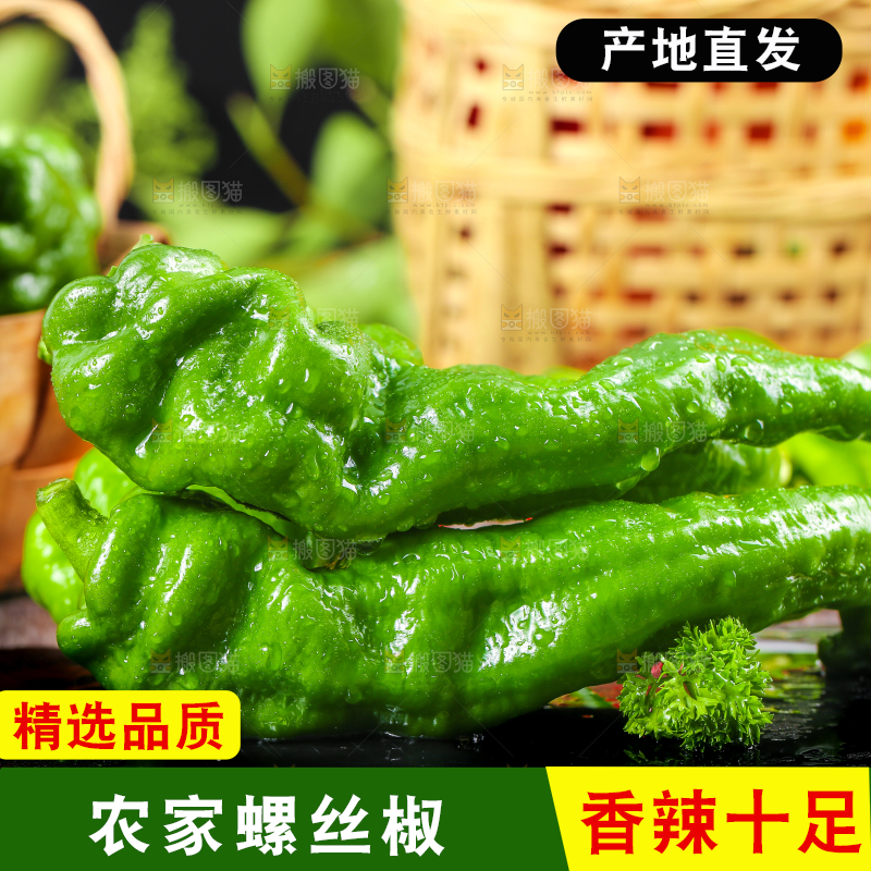 黑石板上的螺丝椒