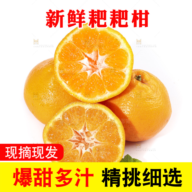 切开的四川耙耙柑放在白底上