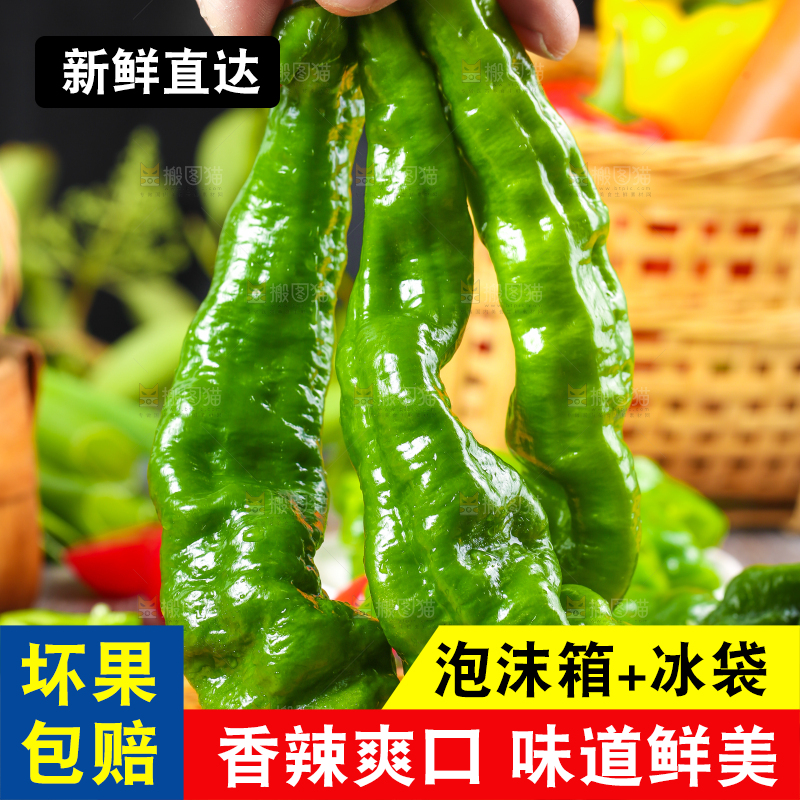 手拿青辣椒