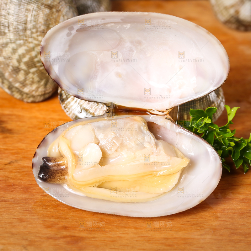 木底上张开的花甲