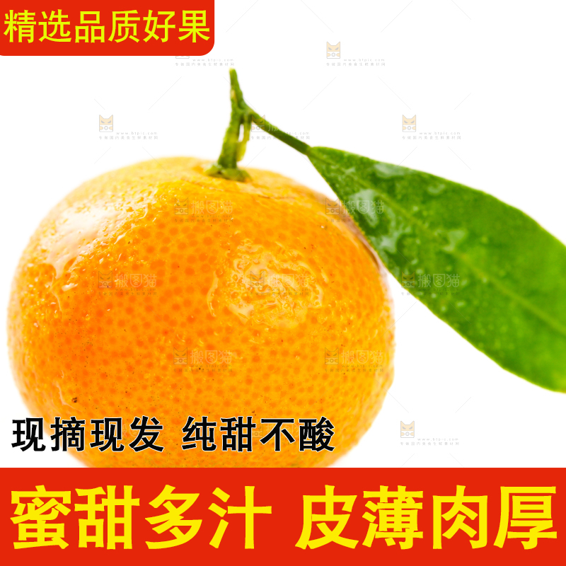 白底上的桂林清香蜜桔