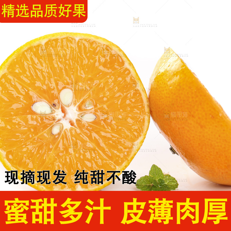 切开的皇帝贡柑放在白底上
