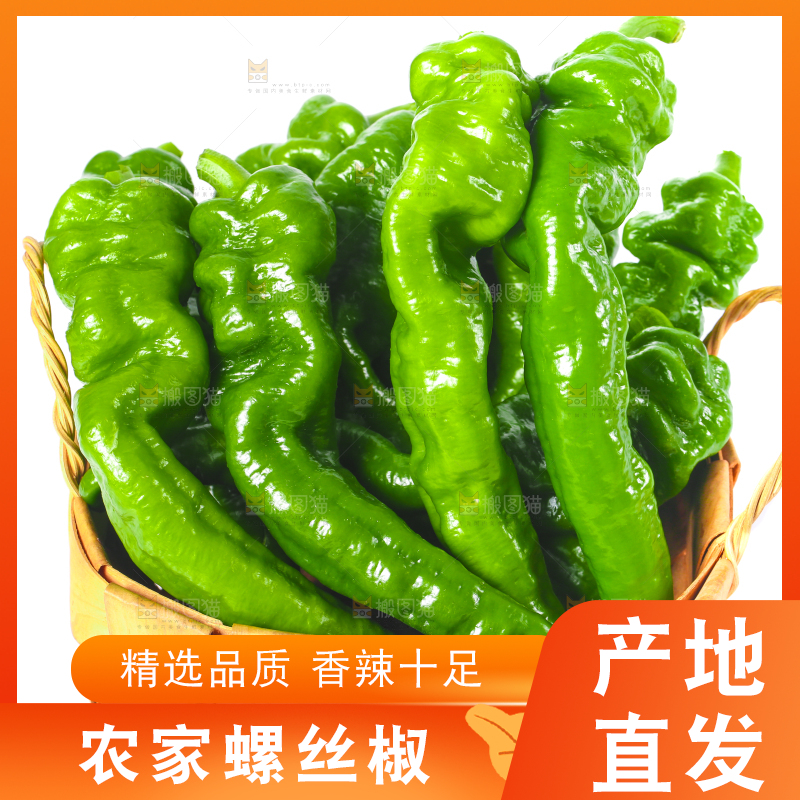 白底上放着一筐青椒