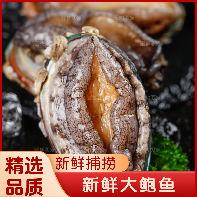 黑石板上的鲍鱼