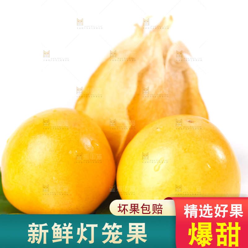 白底上放着灯笼果