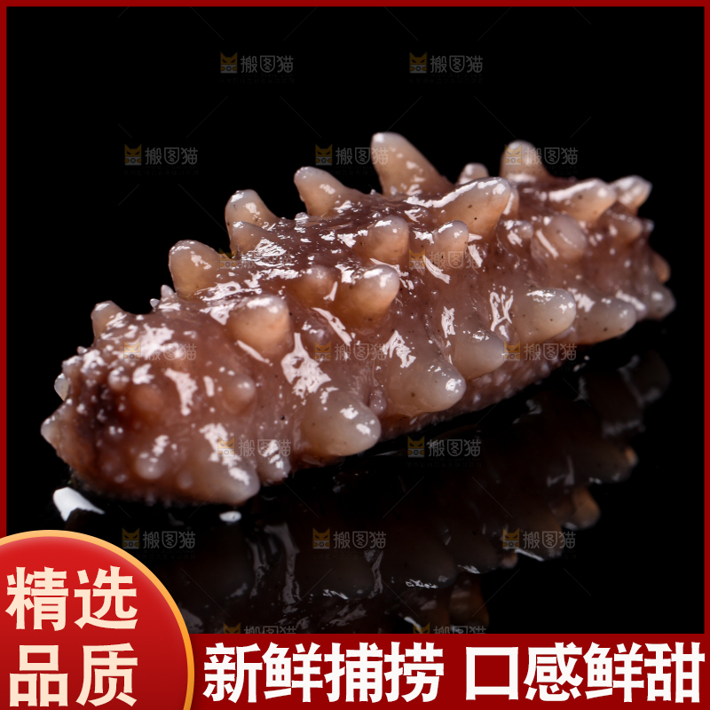 黑底上的海参