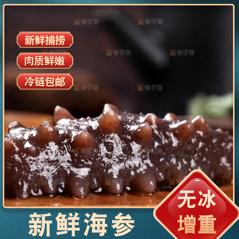 木底上的淡干海参