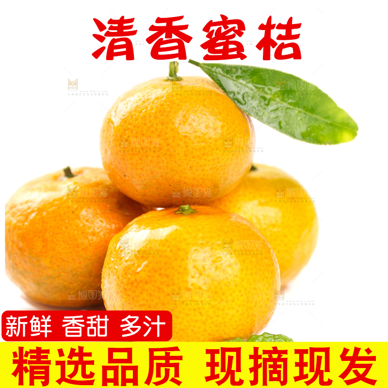 白底上的桂林清香蜜桔