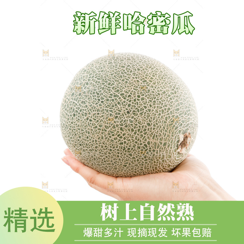 手里捧着哈蜜瓜