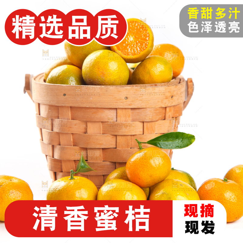 一筐清香蜜橘放在白底上