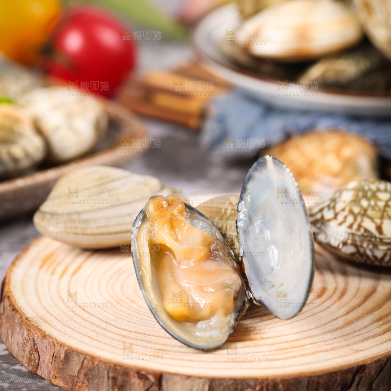 木底上张开的花甲