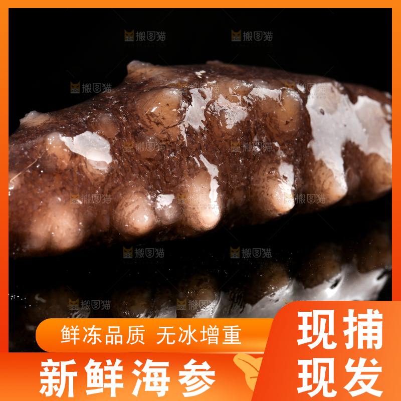 黑底上的海参