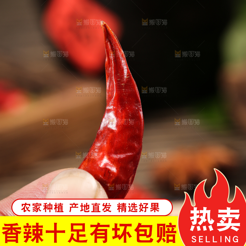 手里拿着干辣椒