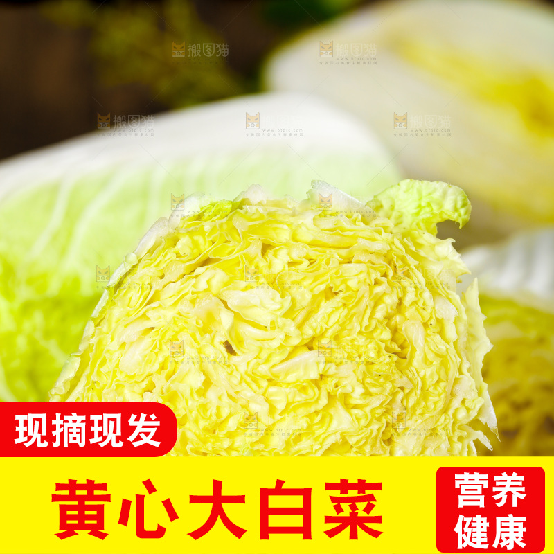 手拿切开的大白菜