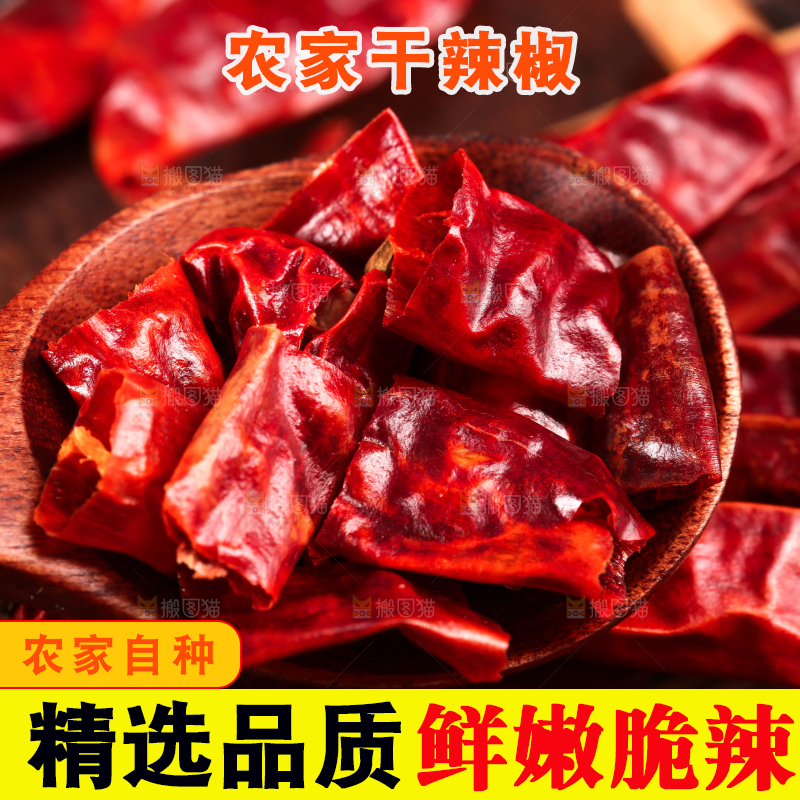 勺子上放着干红辣椒
