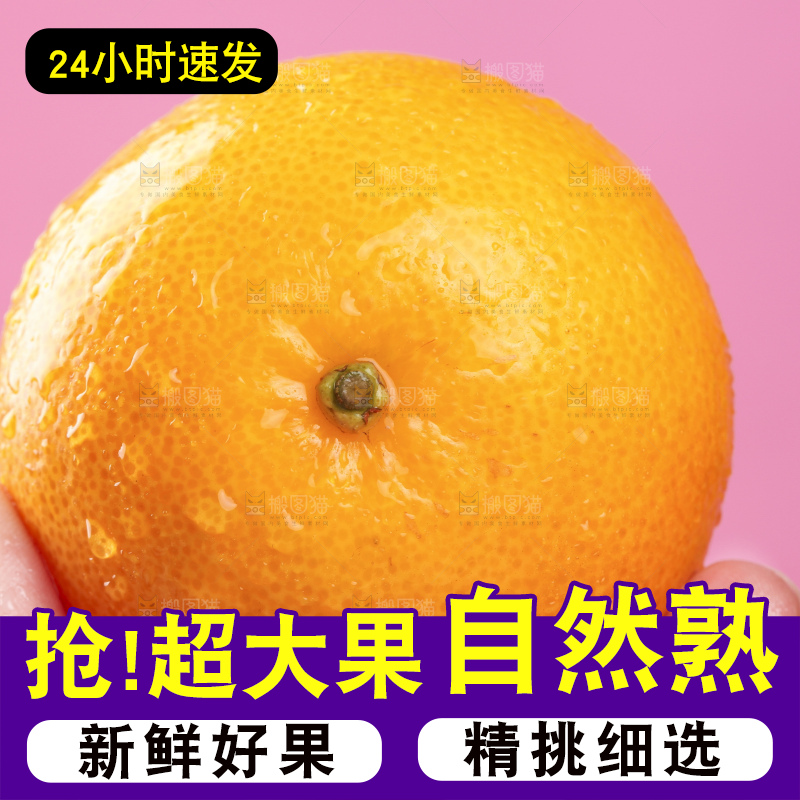 手拿皇帝柑
