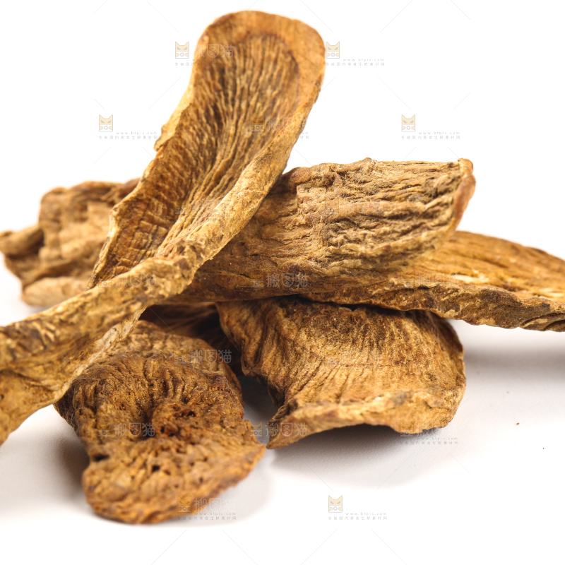 白底上摆放着牛蒡