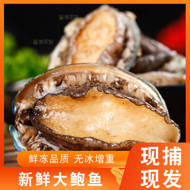 手拿鲍鱼