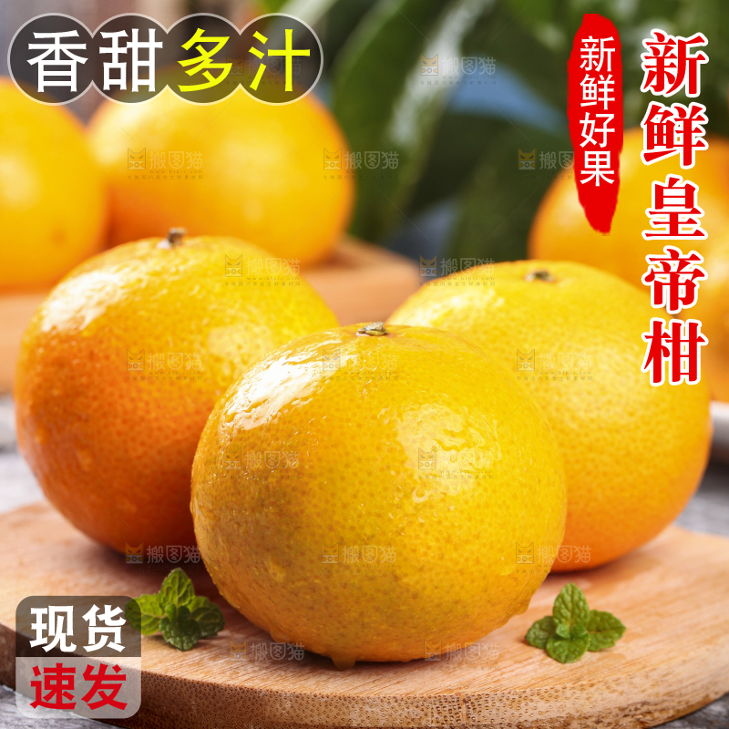 木板上的皇帝贡柑