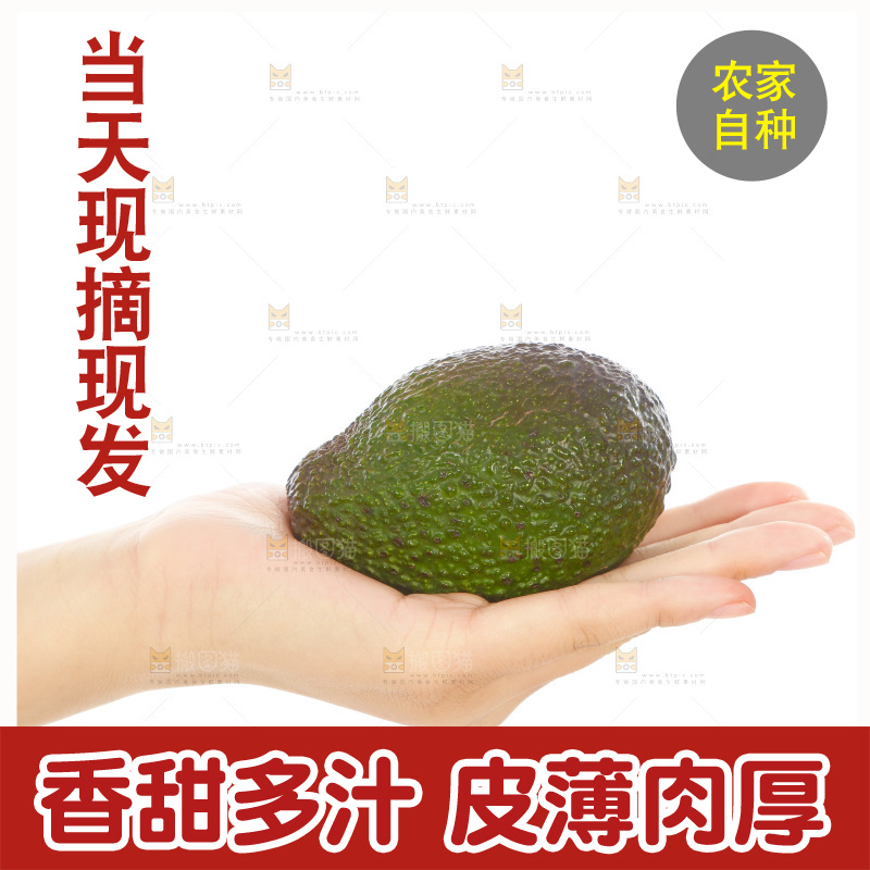手里拿着牛油果