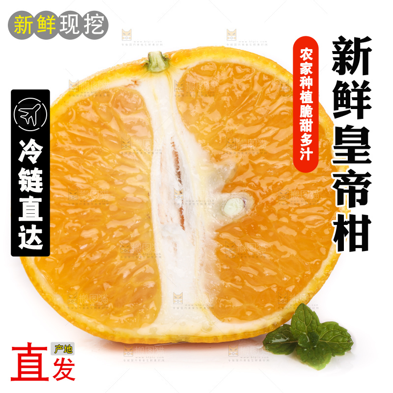 切开的皇帝贡柑放在白底上