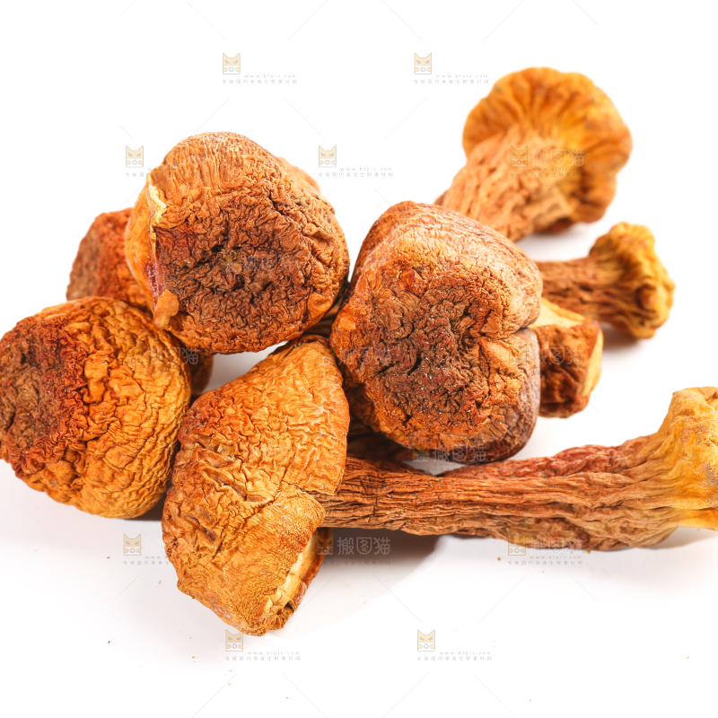 白底上的云南姬松茸
