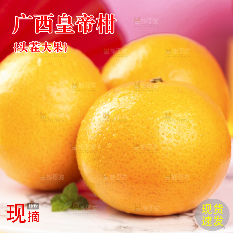 石盘上的广西皇帝柑