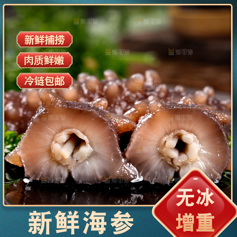 黑底上切开的海刺参