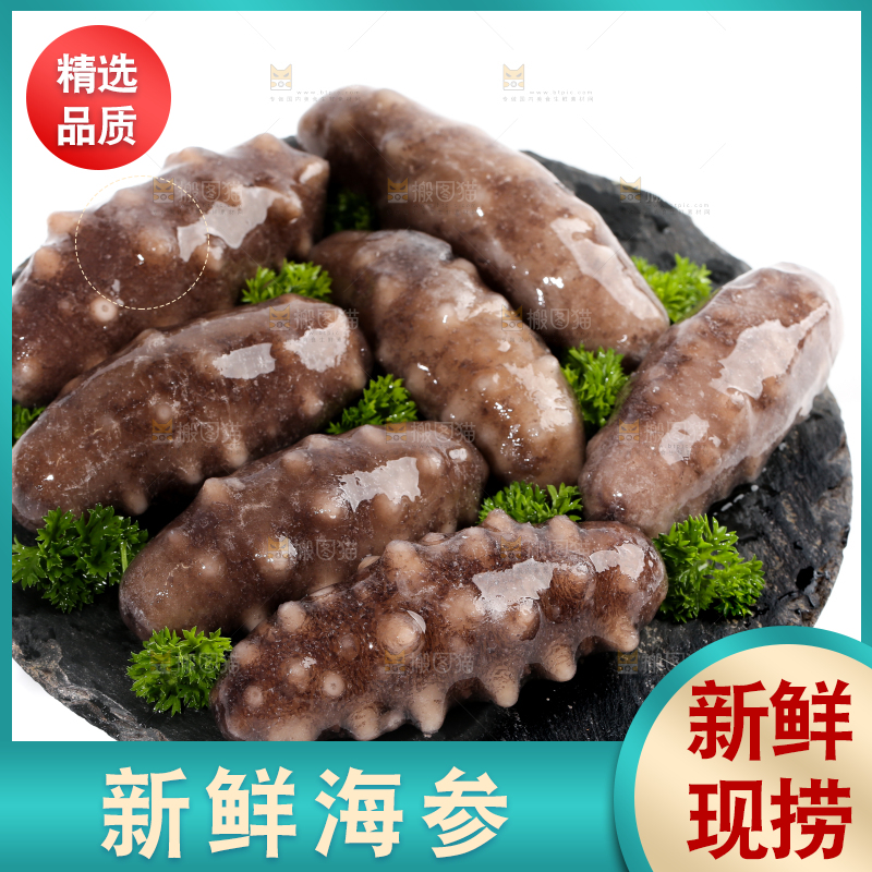 一盘刺参放在白底上