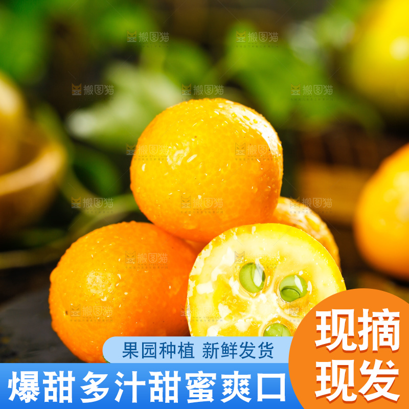 黑底上放着小金桔