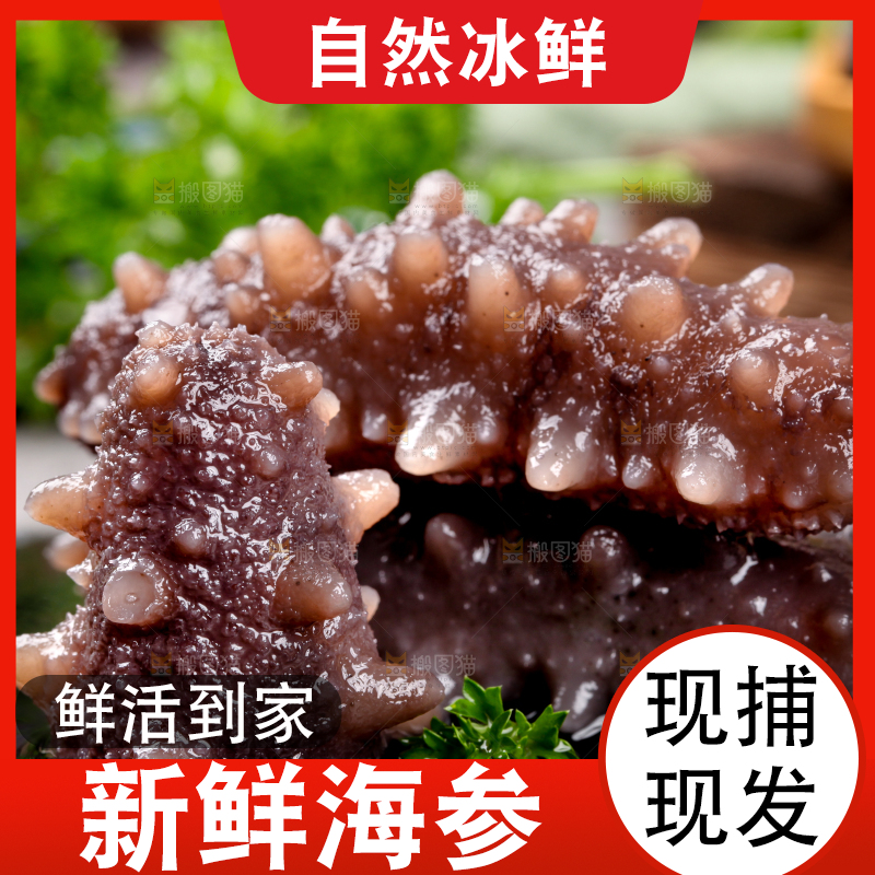 黑石板上的海参