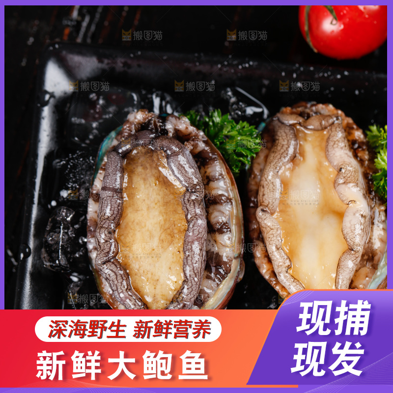 黑底上放着一盘鲜鲍鱼