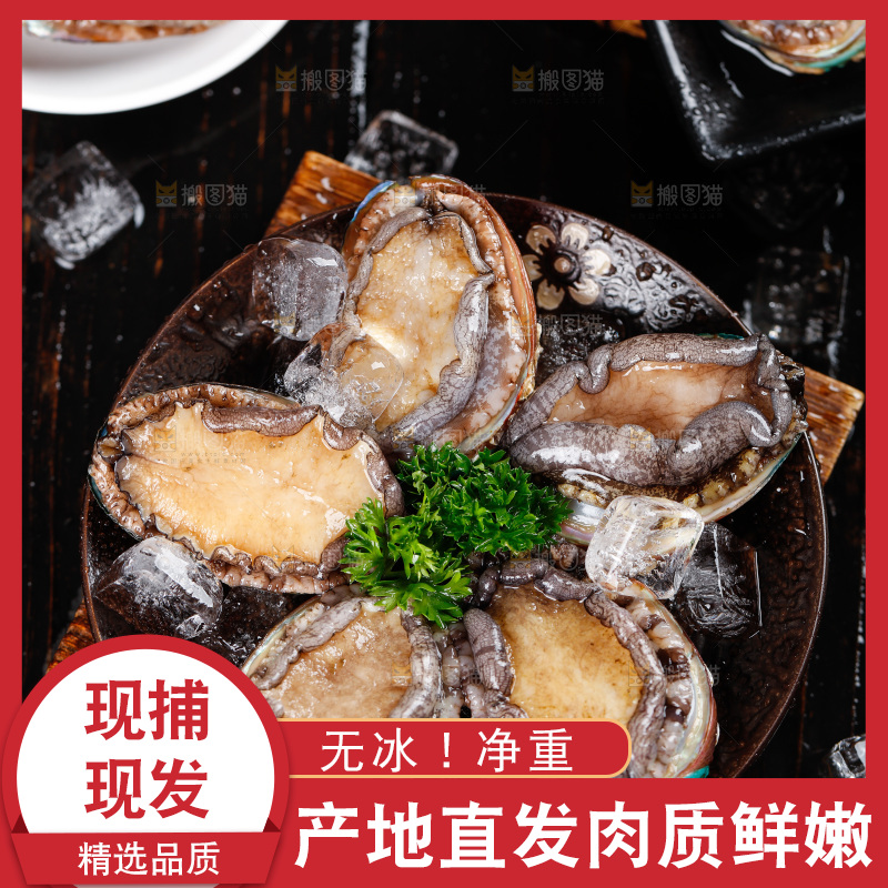 深底上放着一盘鲍鱼