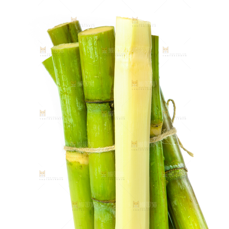 一捆青皮甘蔗放在白底