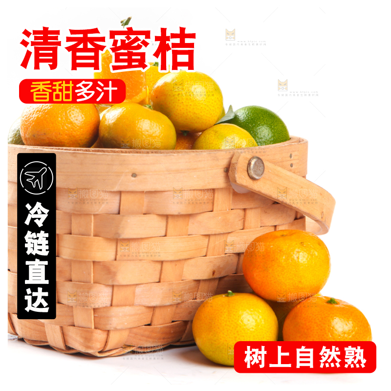 一筐清香蜜橘放在白底上