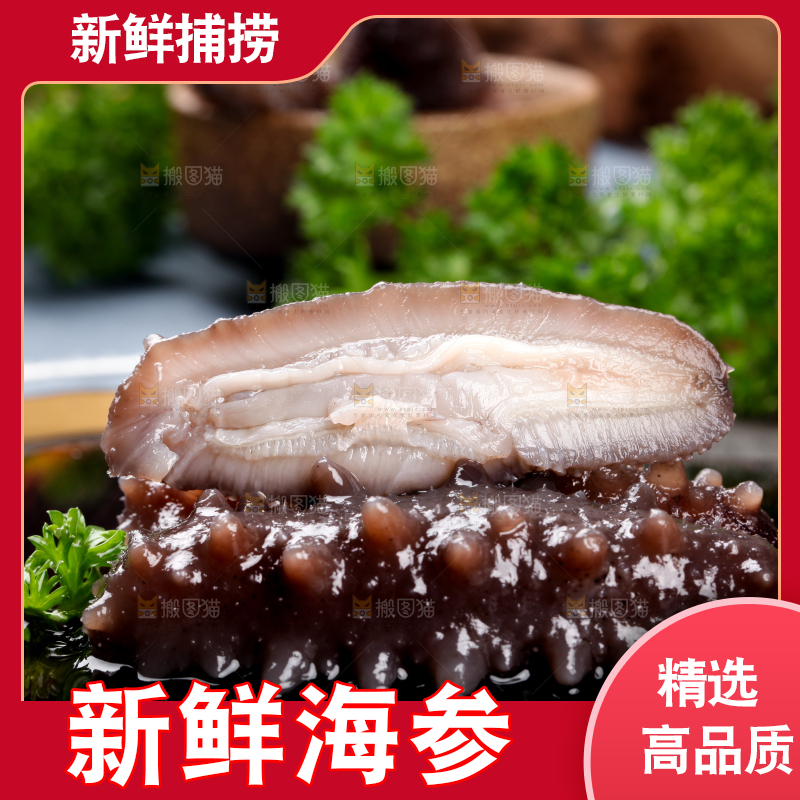 黑底上切开的海参