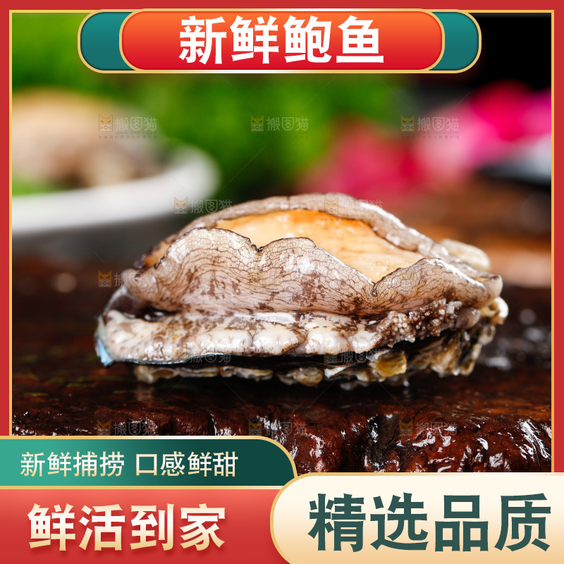 深底上的活冻大鲍鱼