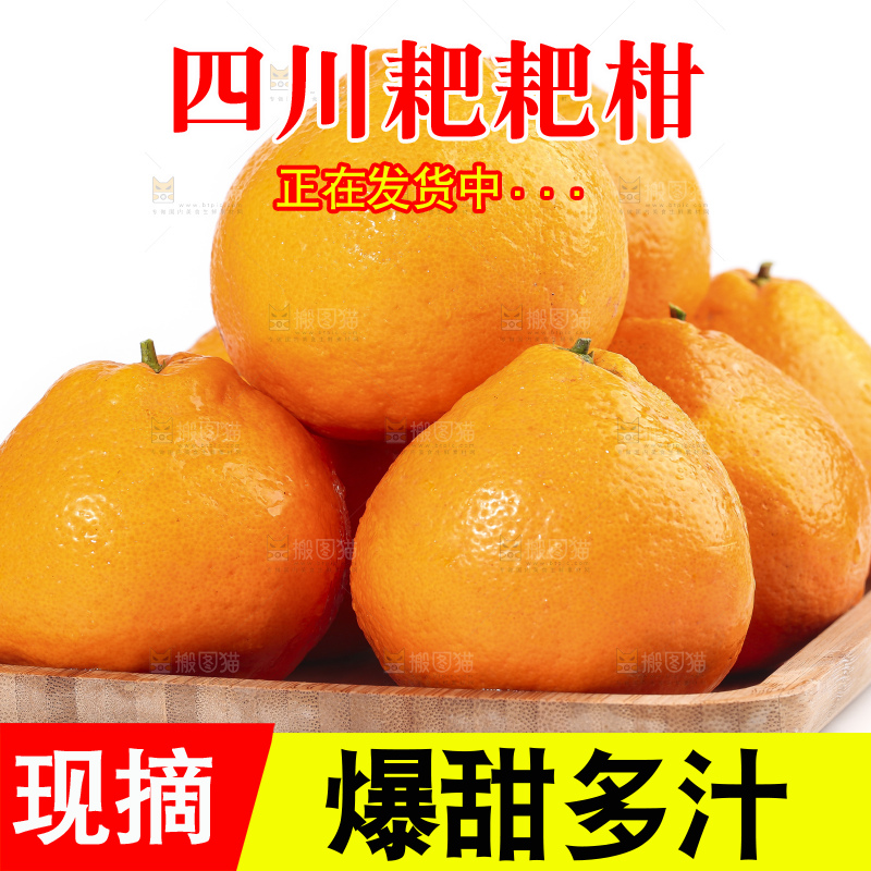 一盘新鲜的耙耙柑放在白底上
