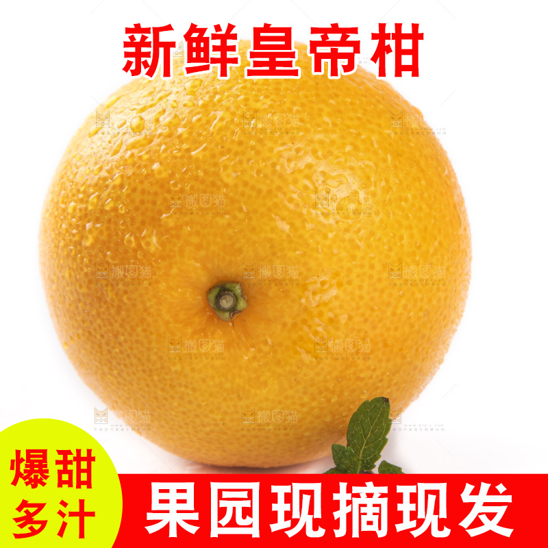 白底上的新鲜皇帝柑