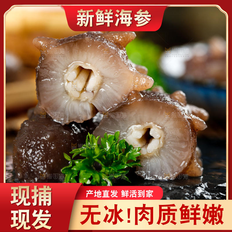 黑石板上的刺参