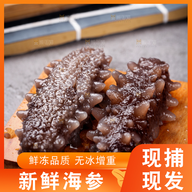 木底上的淡干海参
