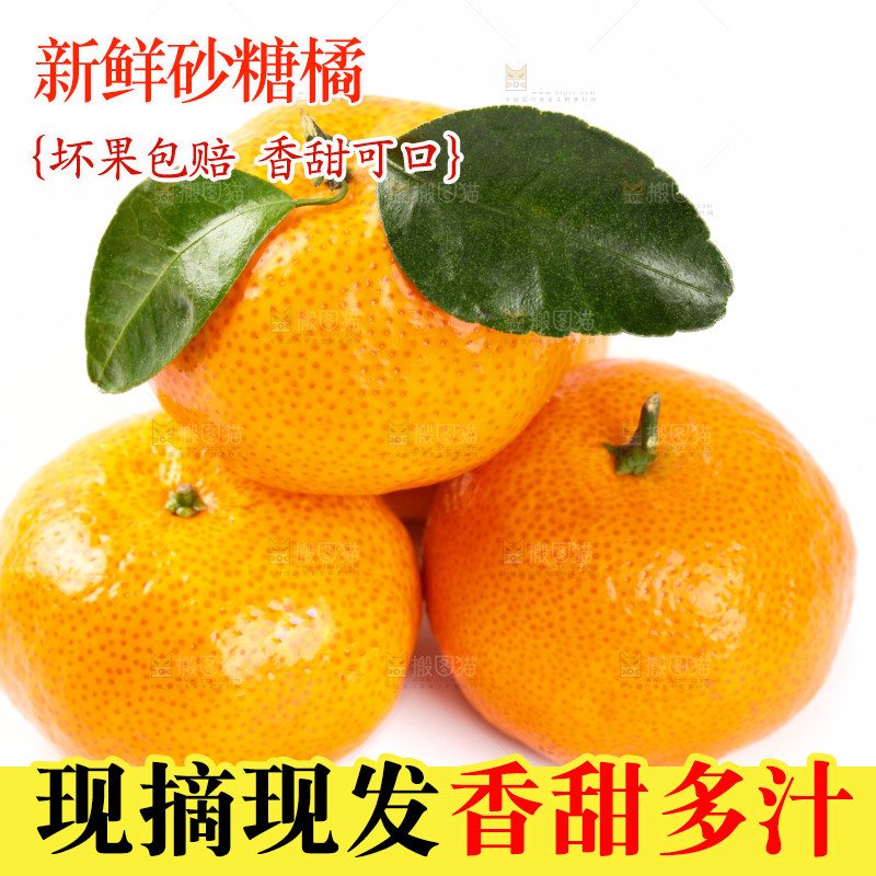 白底上的砂糖橘