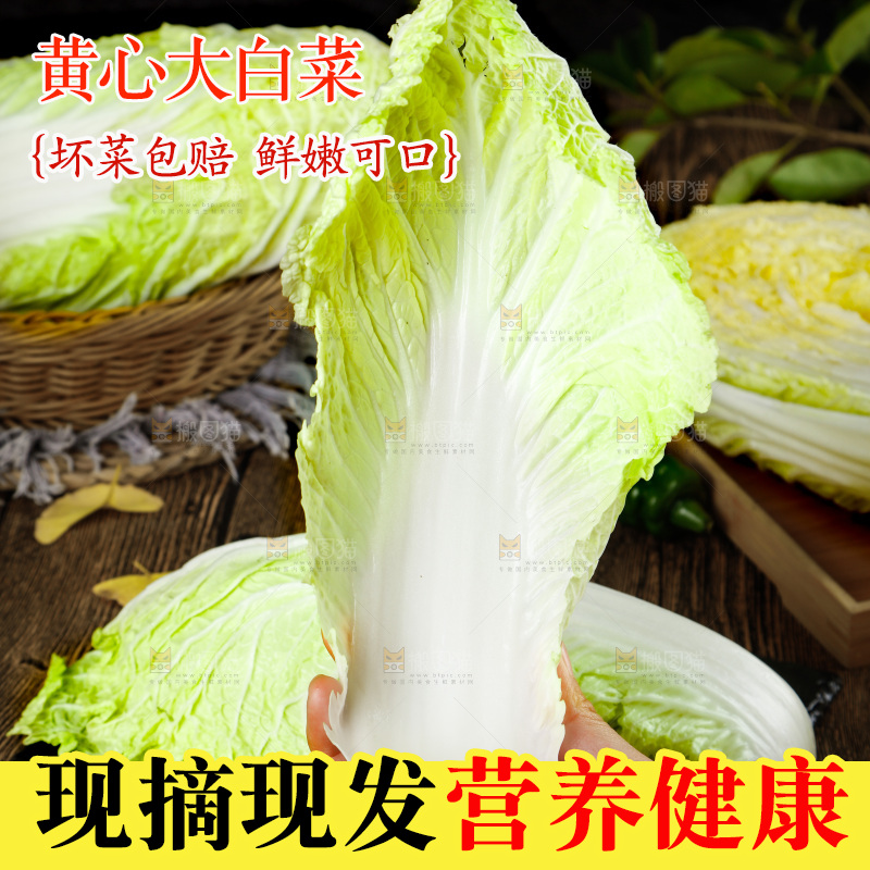 手拿大白菜叶