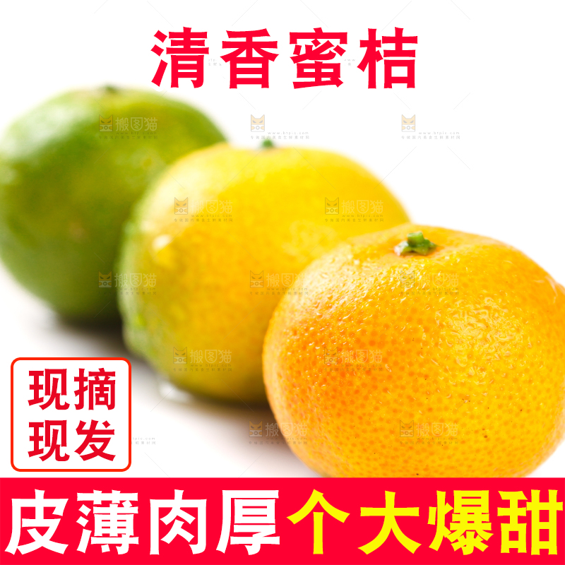 白底上的桂林清香蜜桔