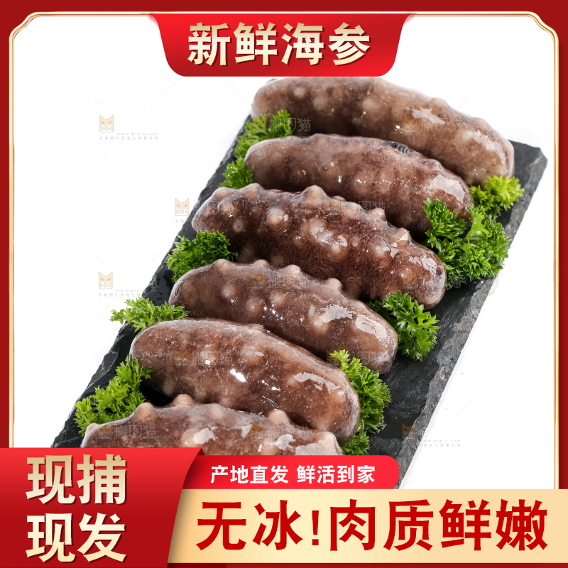 一盘刺参放在白底上